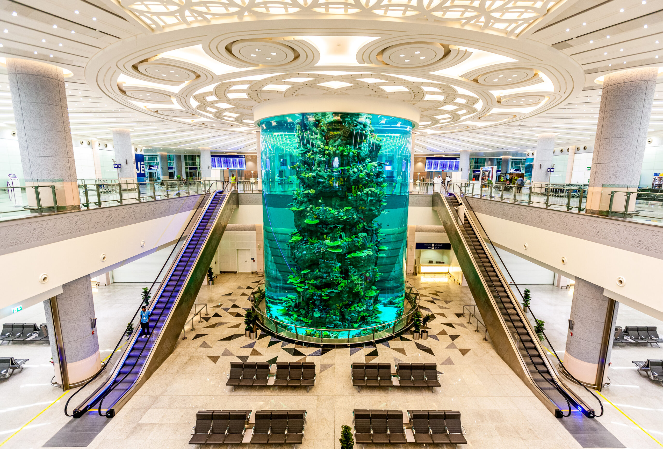 2019_DEC_AQUARIUM FAREWELL AREA_NEW KAIA_MG_1921